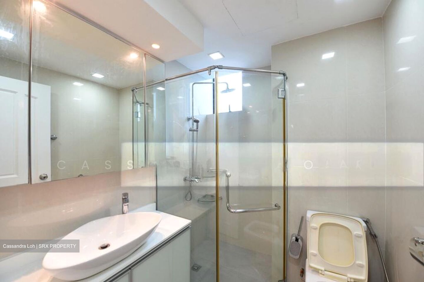 Spring Grove (D10), Condominium #486682661